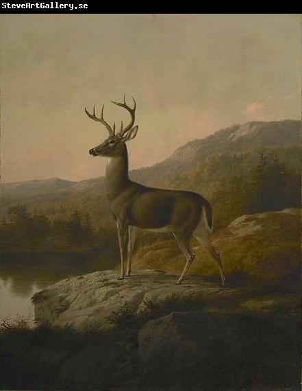 unknow artist Deer